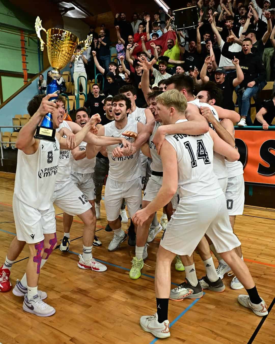 You are currently viewing Prva, druga in tretja slovenska liga dobile nove predstavnike